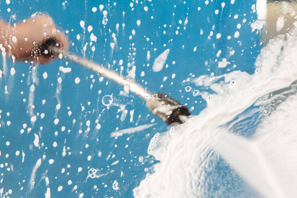 Best Animal Enclosure Cleaning  in Paw Paw Lake, MI
