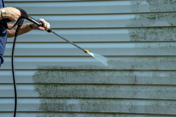 Best Graffiti Removal  in Paw Paw Lake, MI